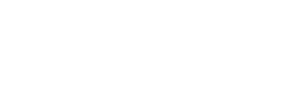 2 White Logo Delft Imaging